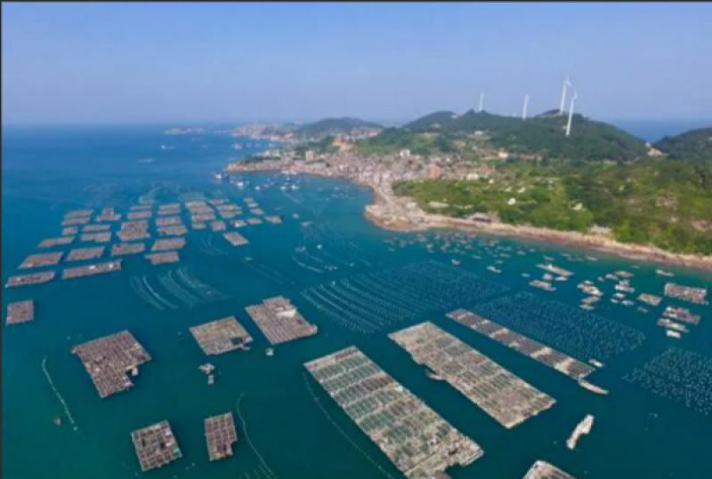 浙江省海洋经济厅&浙江省农发集团签署《战略合作协议》，共同推动海洋渔业现代化建设