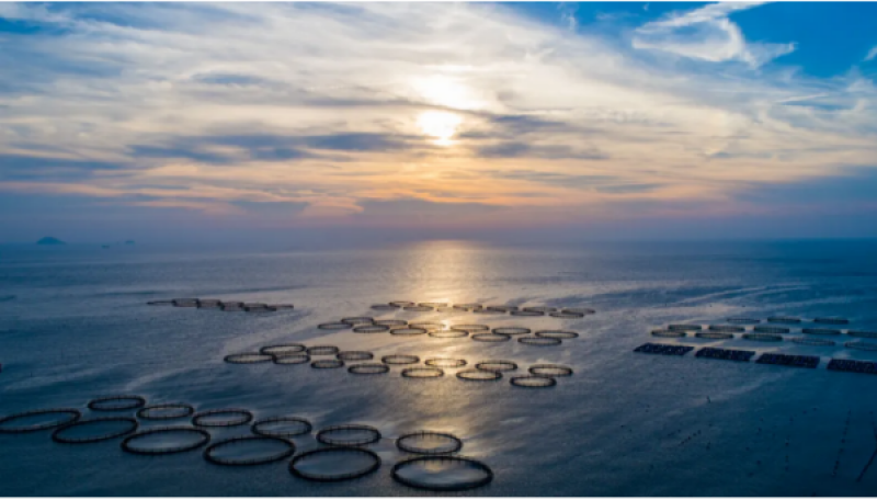 浙江海洋科技创新产业园（滨江）揭牌| 浙江海洋科技首批创新联合体成立| 解读全省海洋科技创新能力提升行动计划文件