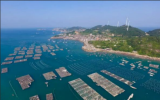 浙江省海洋经济厅&浙江省农发集团签署《战略合作协议》，共同推动海洋渔业现代化建设