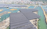 中节能漳浦旧镇300MW渔光互补光伏电站首次并网成功