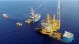 墨菲石油在越南近海发现石油