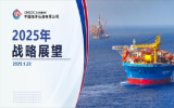 中国海油公布2025年经营策略与发展规划 锚定高质量增长与绿色发展