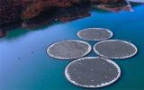 Canopy Power与Ocean Sun达成战略合作共同促进澳大利亚漂浮式光伏发展