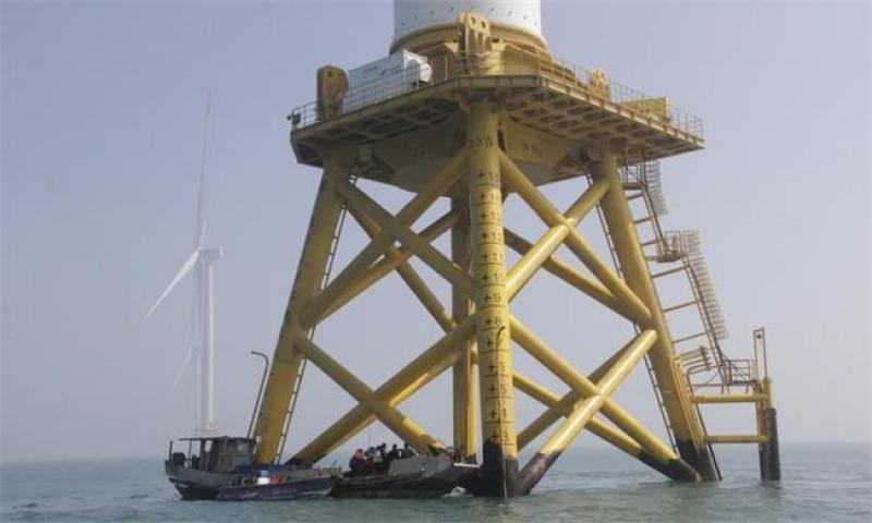 漳浦二期项目：开启“海上风电+海洋牧场”融合发展新模式