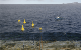瑞典CorPower Ocean与挪威科技大学携手推进AI控制的波浪能技术