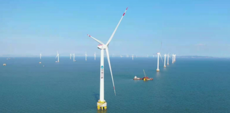 三峡集团与大连市座谈，深化海上风电领域合作