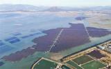 福建首个海上光伏项目——东山杏陈180兆瓦海上光伏电站项目已进入全面收官阶段