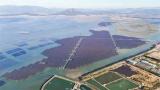 福建首个海上光伏项目——东山杏陈180兆瓦海上光伏电站项目已进入全面收官阶段