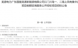 龙源电力广东国能龙源新能源有限公司海上风电项目启动招标
