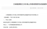 三峡阳江沙扒海上风电场预防性试验服务项目中标公示