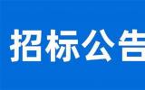 明阳巴斯夫湛江徐闻东三海上风电示范项目启动招标
