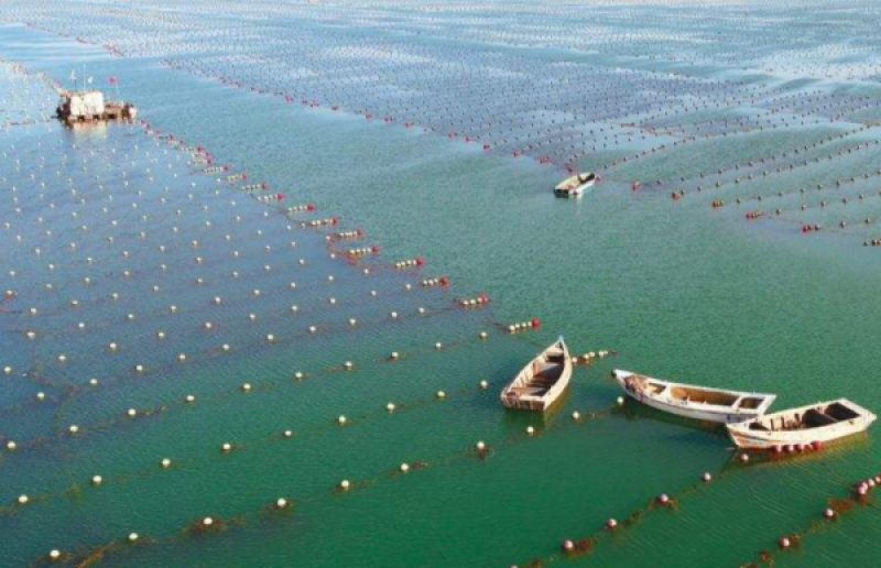 海洋渔业新技术新产品新场景应用推广活动在福州举行