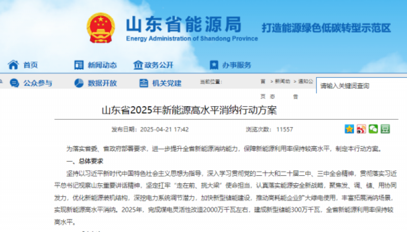 加快发展风电！山东省2025年新能源高水平消纳行动方案出台