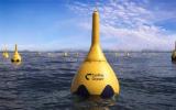 瑞典CorPower Ocean计划2029年在苏格兰奥克尼部署5兆瓦波浪能阵列