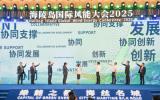 广东（阳江）风电产业联盟揭牌成立