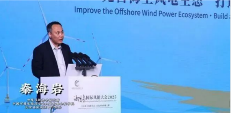 秦海岩：阳江正成为全球海上风电创新的策源地