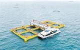 珠海市现代化海洋牧场“标准海”样板区开园投产 开启深远海养殖新模式