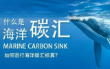 全国首个海洋碳汇交易平台累计交易量达21万吨