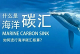 全国首个海洋碳汇交易平台累计交易量达21万吨