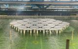 SolarDuck在MARIN完成54个互联海上漂浮式光伏平台的缩尺试验
