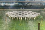 SolarDuck在MARIN完成54个互联海上漂浮式光伏平台的缩尺试验