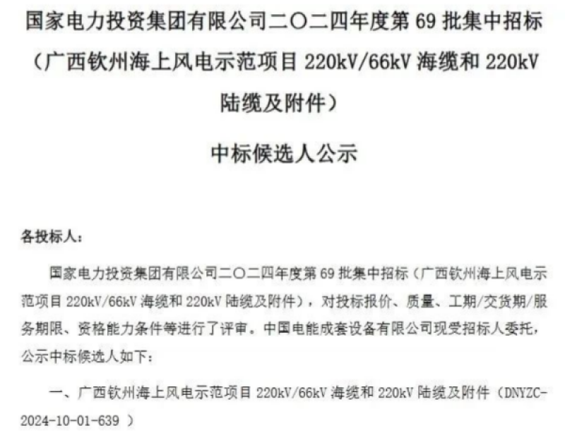 国家电投广西钦州海上风电示范项目中标公示