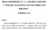 国家电投广西钦州海上风电示范项目中标公示