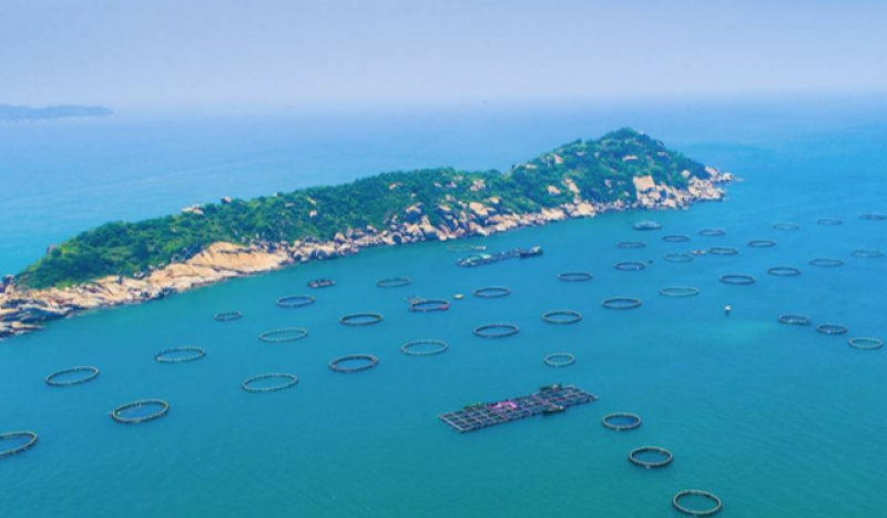 统筹推进海洋碳汇核算体系发展