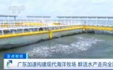 广东加速构建现代海洋牧场，鲜活水产走向全国