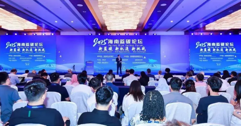 生态环境部正将蓝碳纳入“十五五”全国海洋生态环境保护规划