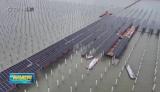 金能棋子湾海上光伏项目加速建设，预计9月底并网