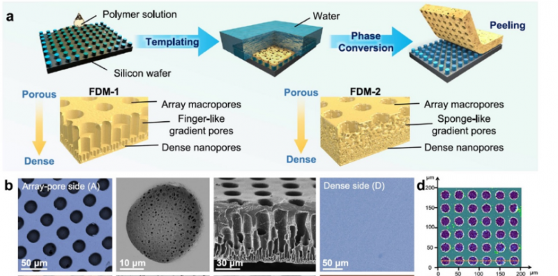 Nature Communications丨流体二极管膜实现高效太阳能海水淡化和发电新突破！