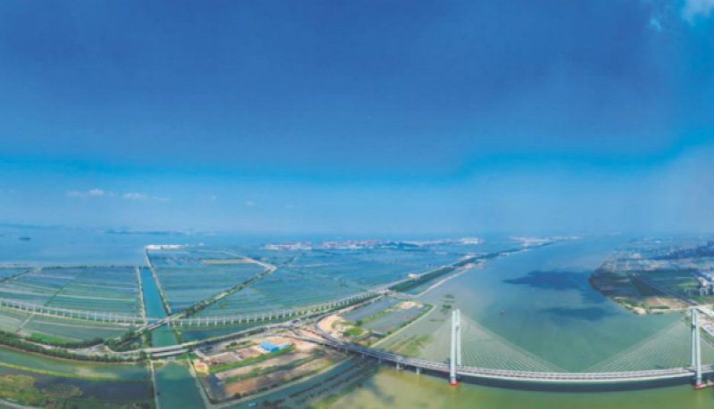 我国推动海洋经济高质量发展深度观察