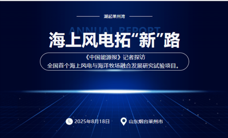 莱州湾“风渔融合”新模式！
