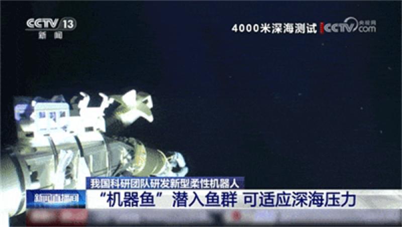 我国科研团队研发新型柔性机器人，多次“打卡”4000米深海！