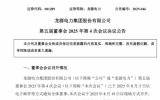 龙源电力投资建设海南东方50万千瓦海上风电项目的议案通过
