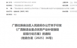 《广西制造业重点优势产业补链强链延链行动方案》