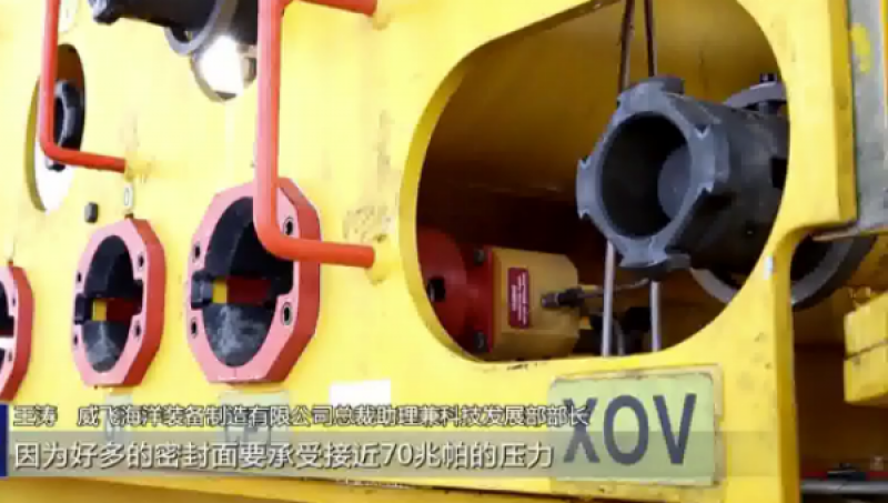 海上“长”出国产“采油树”