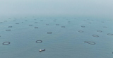 湛江市首个现代化海洋牧场物联网监测系统投用