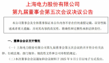 上海电力拟投建奉贤1号海上光伏项目