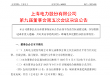 上海电力拟投建海上光伏项目