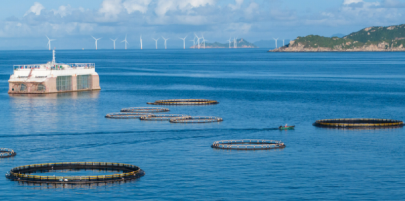 浙江舟山：探索海上不动产一体化登记制度，提高物权价值