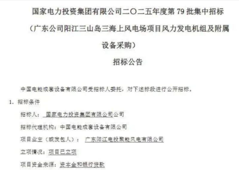 国电投阳江500MW海风项目启动招标