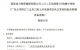 国电投阳江500MW海风项目启动招标