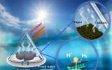 海南大学科研新成果！3D打印仿生蒸发器件实现海水淡化协同催化制氢