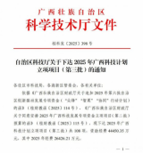 “海上风电制氢+”项目入选广西重大专项计划