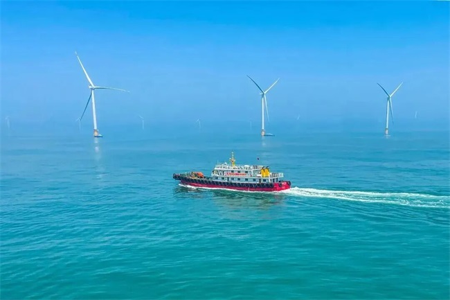 苍南1号海上风电二期扩建工程项目取得关键进展 加速迈向全容量并网