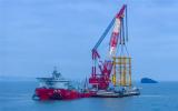 苍南1号海上风电二期扩建工程全力冲刺全容量并网发电