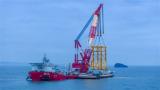 苍南1号海上风电二期扩建工程全力冲刺全容量并网发电
