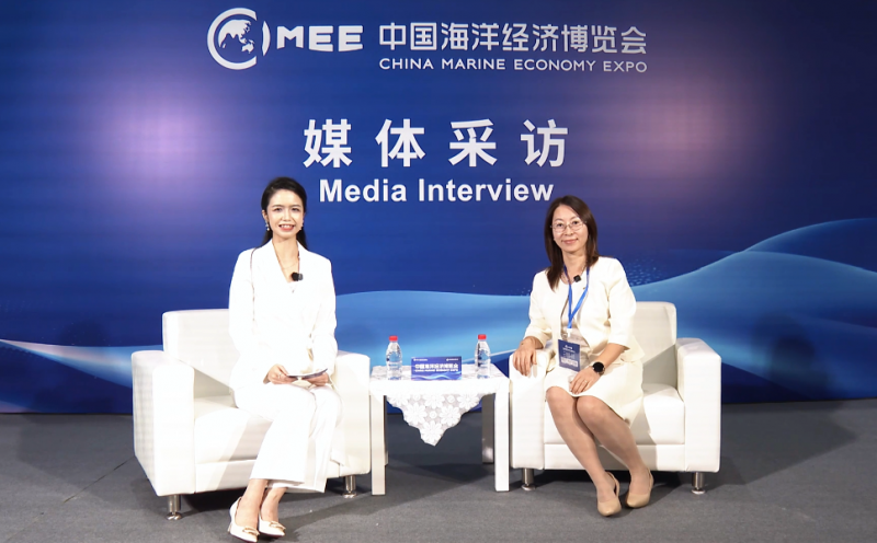 2025海博会《媒体访谈》对话深圳市国能宸泰科技有限公司-总经理李岩